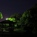 写真: 公園でひとりぼっち