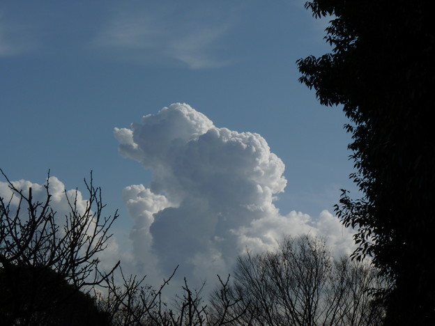 写真: プードル雲？ｴﾍﾍ