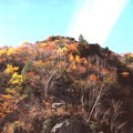 写真: 高瀬渓谷の紅葉6