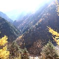 写真: 高瀬渓谷の紅葉９