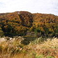 写真: 中綱湖の紅葉