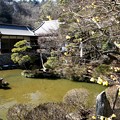 写真: 宝登山神社の庭園