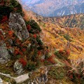 写真: 大観峰よりの紅葉風景１３