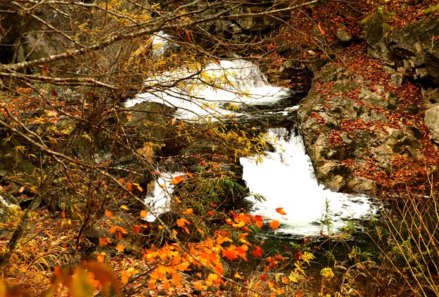 写真: 秋の照葉峡の渓流３