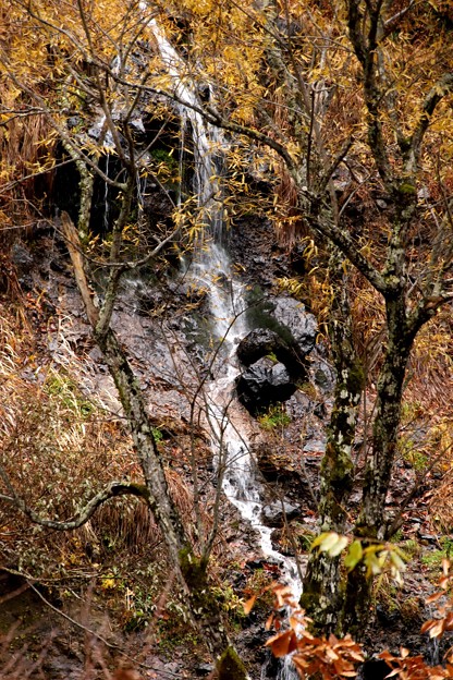 写真: ひぐらしの滝の紅葉