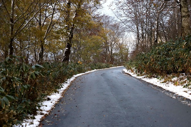 写真: 尾瀬への山頂付近雪の道路