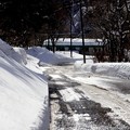 写真: 奥利根の雪道