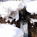 写真: 積雪の滝