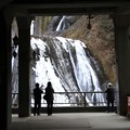 写真: 第一観瀑台よりの袋田の滝