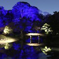 写真: ブルーの色彩の六義園庭園
