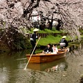 写真: 川越春まつり　結婚儀式の舟運２