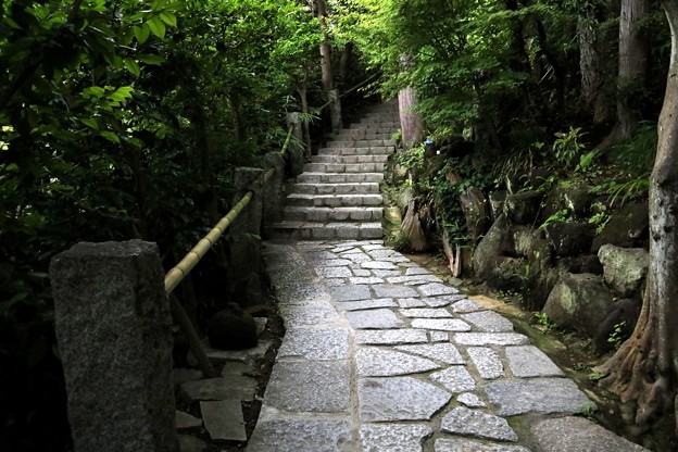 写真: 杉本寺の本堂への参道