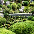 写真: 東福寺の開山堂の池