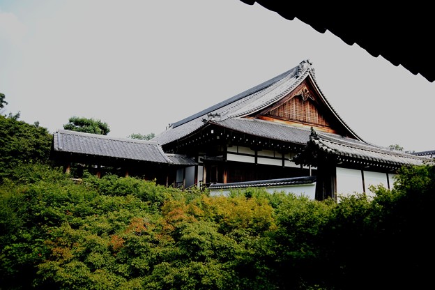 写真: 東福寺風景