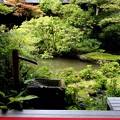 写真: 実相院の蹲と庭園