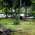 写真: 南禅寺　庭園１