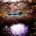 写真: 瑠璃沼の紅葉