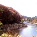 Photos: 久慈川の紅葉風景３