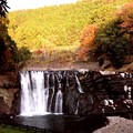 写真: 秋の竜門の滝