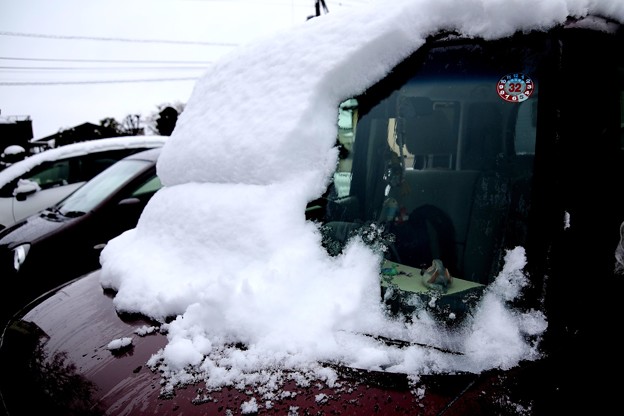 写真: 自家用車の積雪