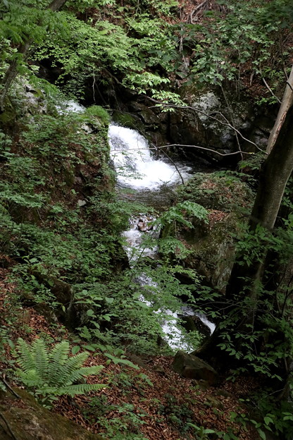 写真: 小倉の滝への滝風景２