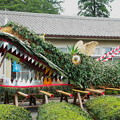 写真: 白鬚神社の大蛇の展示