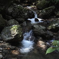 写真: 黒山三滝の沢風景３