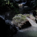 写真: 黒山三滝の沢風景６