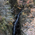 写真: 吾妻渓谷　白絹の滝の紅葉
