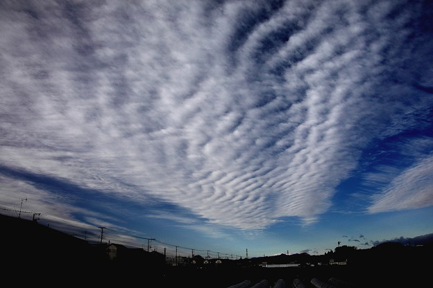 写真: 今日の朝の雲（２０２０１２１９）