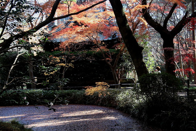 写真: 経堂と放生池との紅葉