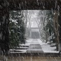 多門院　降る雪