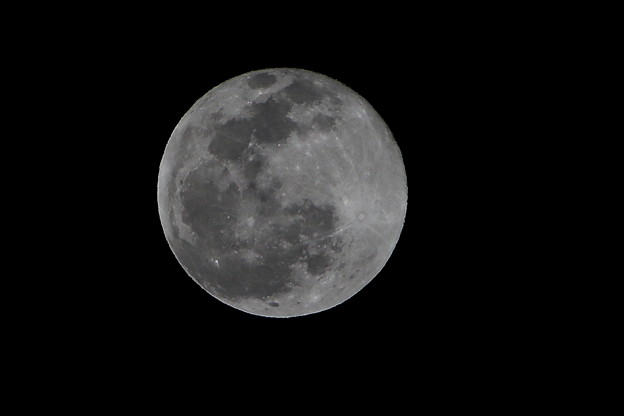 写真: ２０２０年最後の満月（１２月３０日）コールドムーン