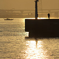 写真: 灯台と釣り人