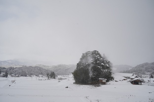 写真: 雪見ドライブ (4)