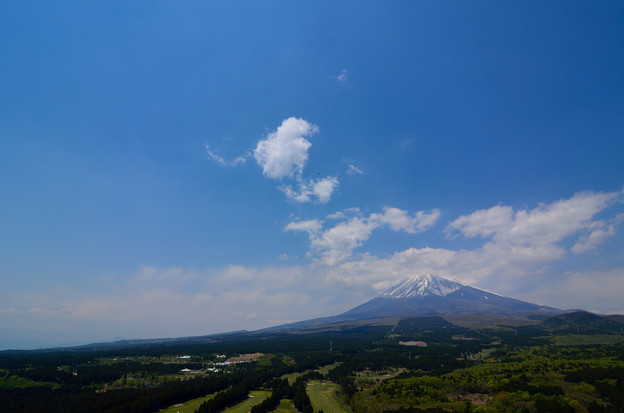 写真: 十里木高原展望台から望む富士山