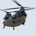 CH-47 67-4496 入間ヘリコプター空輸隊　IMG_1639_2