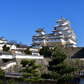 写真: 元日の姫路城