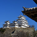 写真: 元日の姫路城
