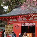 写真: 鎌倉　荏柄天神社の梅