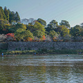 写真: 人吉城址と球磨川
