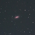 写真: しし座の銀河 NGC2903 (^^)