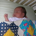Anthony in Quilt made by Chontan-no-mama