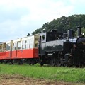 写真: 505A 小湊鐵道DB4＋100形客車 4両
