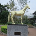 写真: 黄金の馬・アハルテケ
