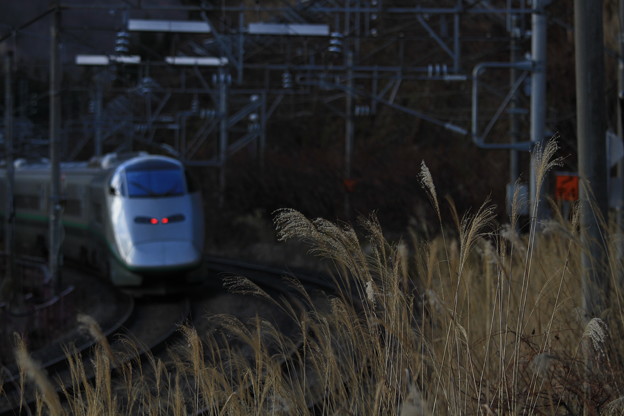 写真: 山形新幹線　つばさ2