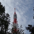 写真: 東京タワー (港区芝公園)