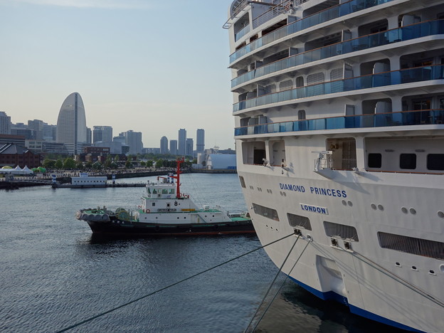 写真: 大型客船ダイヤモンド・プリンセス号 (横浜市中区海岸通)
