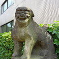 写真: 裏参道側の狛犬-花園神社 (新宿区新宿)