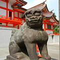 写真: 裏参道側の狛犬-花園神社 (新宿区新宿)